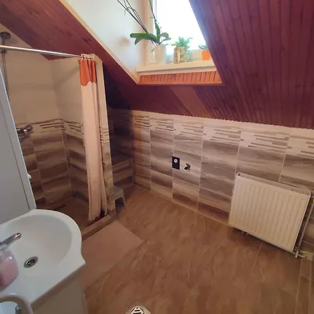 In - Balaton 45812 *