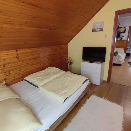 In - Balaton 45812 アパート *