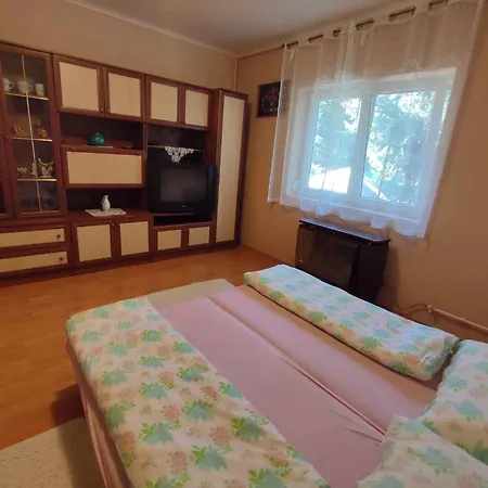 In - Balaton 45812 アパート