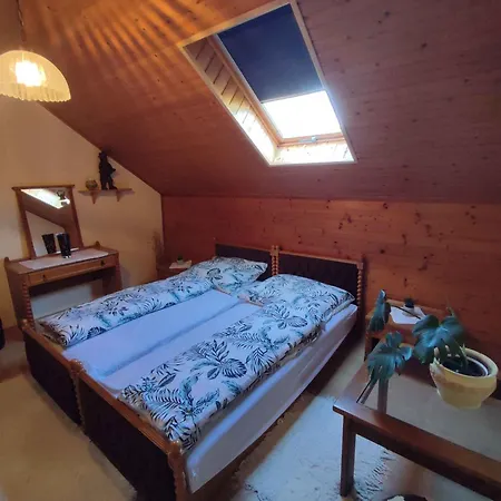 Apartment In - Balaton 45812