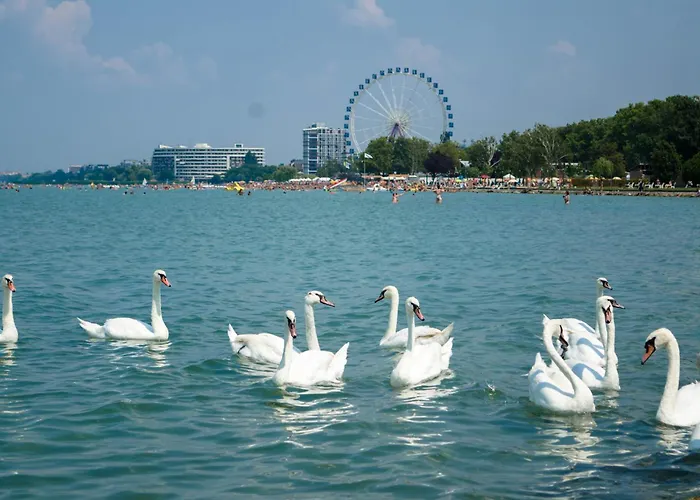 In - Balaton 45812 * Siófok
